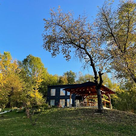 Casa De Pe Un Deal-Provita De Sus-Prahova Exterior foto