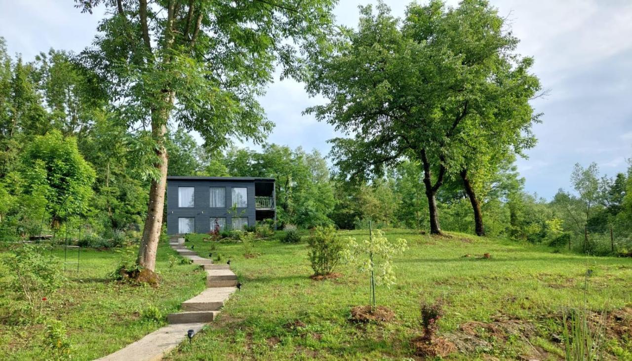Casa De Pe Un Deal-Provita De Sus-Prahova Exterior foto